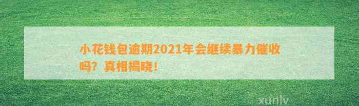 小花钱包逾期2021年会继续暴力催收吗？真相揭晓！