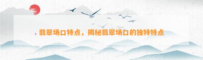 翡翠场口特点，揭秘翡翠场口的特别特点