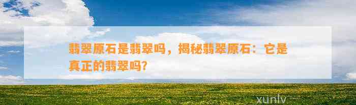 翡翠原石是翡翠吗，揭秘翡翠原石：它是真正的翡翠吗？