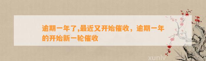 逾期一年了,最近又开始催收，逾期一年的开始新一轮催收