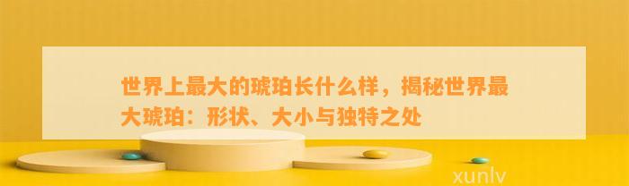 世界上最大的琥珀长什么样，揭秘世界最大琥珀：形状、大小与特别之处