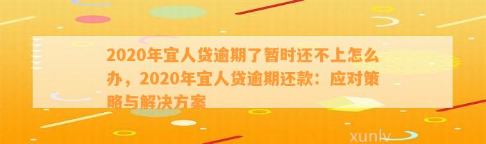 2020年宜人贷逾期了暂时还不上怎么办，2020年宜人贷逾期还款：应对策略与解决方案