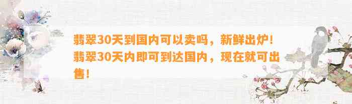 翡翠30天到国内可以卖吗，新鲜出炉！翡翠30天内即可到达国内，现在就可出售！