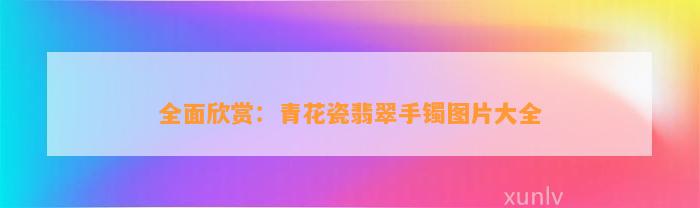 全面欣赏：青花瓷翡翠手镯图片大全