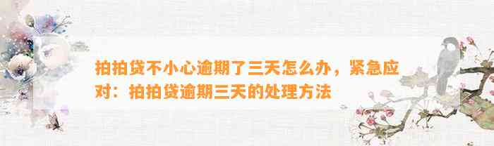 拍拍贷不小心逾期了三天怎么办，紧急应对：拍拍贷逾期三天的处理方法