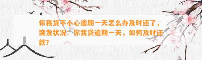 你我贷不小心逾期一天怎么办及时还了，突发状况：你我贷逾期一天，如何及时还款？