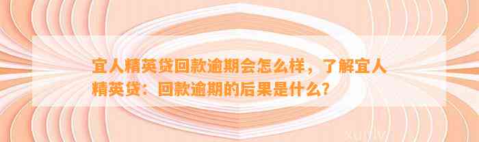 宜人精英贷回款逾期会怎么样，了解宜人精英贷：回款逾期的后果是什么？