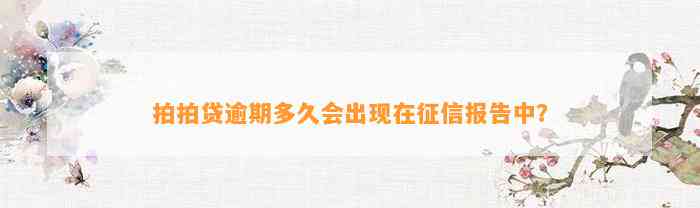 拍拍贷逾期多久会出现在征信报告中？