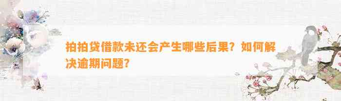 拍拍贷借款未还会产生哪些后果？如何解决逾期问题？