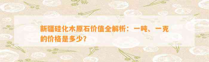 新疆硅化木原石价值全解析：一吨、一克的价格是多少？