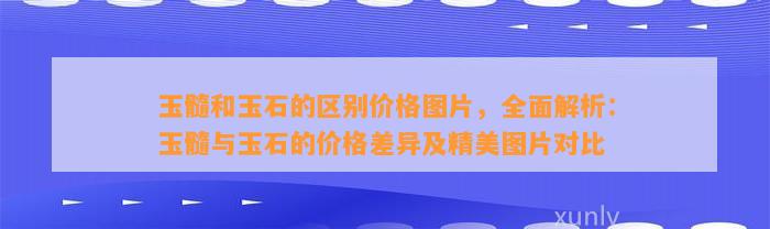 玉髓和玉石的区别价格图片，全面解析：玉髓与玉石的价格差异及精美图片对比