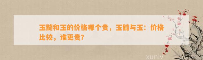 玉髓和玉的价格哪个贵，玉髓与玉：价格比较，谁更贵？