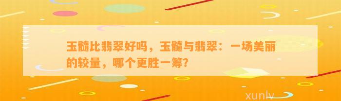 玉髓比翡翠好吗，玉髓与翡翠：一场美丽的较量，哪个更胜一筹？