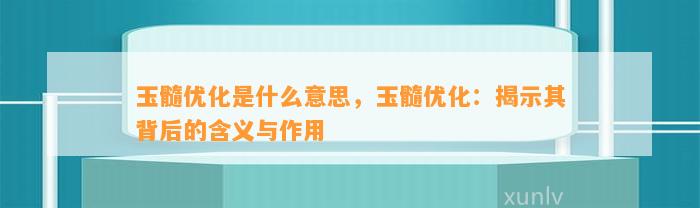 玉髓优化是什么意思，玉髓优化：揭示其背后的含义与作用