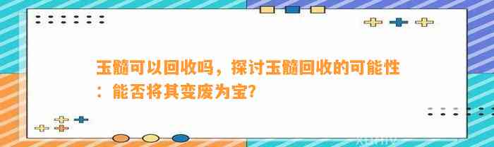 玉髓可以回收吗，探讨玉髓回收的可能性：能否将其变废为宝？