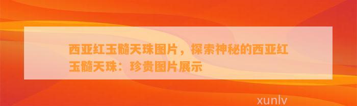 西亚红玉髓天珠图片，探索神秘的西亚红玉髓天珠：珍贵图片展示