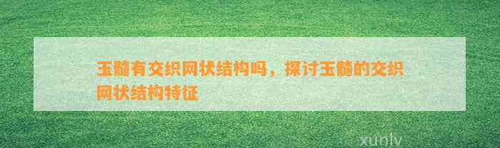 玉髓有交织网状结构吗，探讨玉髓的交织网状结构特征