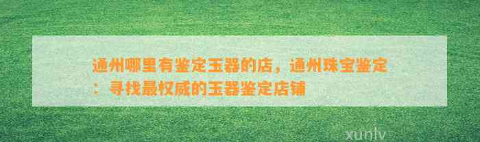 通州哪里有鉴定玉器的店，通州珠宝鉴定：寻找最权威的玉器鉴定店铺