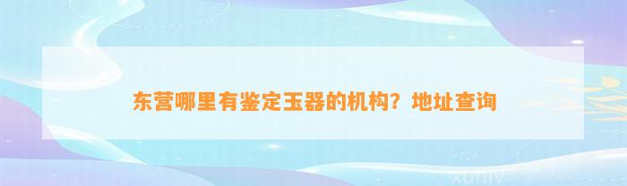 东营哪里有鉴定玉器的机构？地址查询