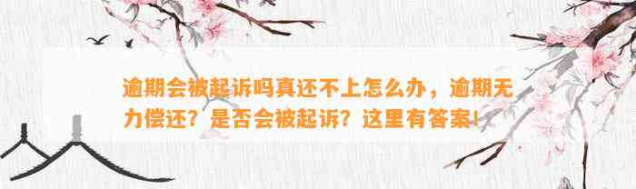 逾期会被起诉吗真还不上怎么办，逾期无力偿还？是否会被起诉？这里有答案！