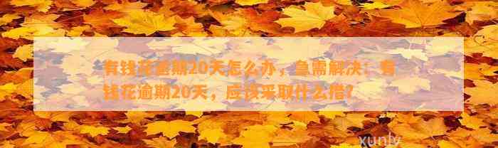 有钱花逾期20天怎么办，急需解决：有钱花逾期20天，应该采取什么措？