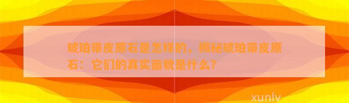 琥珀带皮原石是怎样的，揭秘琥珀带皮原石：它们的真实面貌是什么？