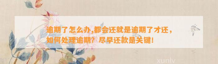 逾期了怎么办,都会还就是逾期了才还，如何处理逾期？尽早还款是关键！