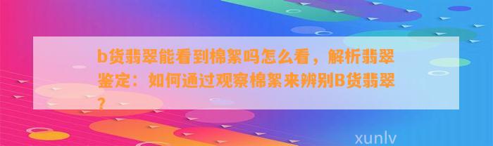 b货翡翠能看到棉絮吗怎么看，解析翡翠鉴定：怎样通过观察棉絮来辨别B货翡翠？