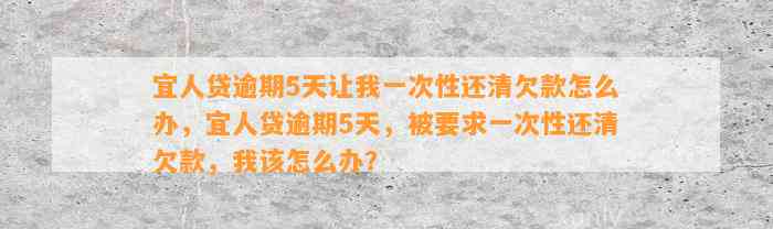 宜人贷逾期5天让我一次性还清欠款怎么办，宜人贷逾期5天，被要求一次性还清欠款，我该怎么办？