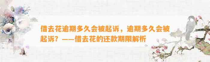 借去花逾期多久会被起诉，逾期多久会被起诉？——借去花的还款期限解析