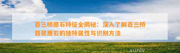 百三桥原石特征全揭秘：深入熟悉百三桥翡翠原石的特别属性与识别方法