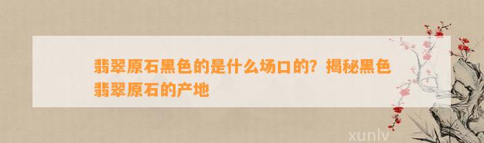 翡翠原石黑色的是什么场口的？揭秘黑色翡翠原石的产地