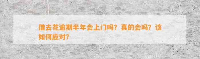 借去花逾期半年会上门吗？真的会吗？该如何应对？