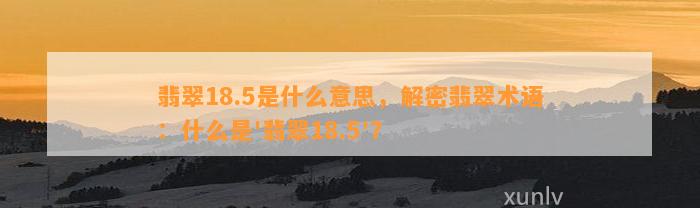 翡翠18.5是什么意思，解密翡翠术语：什么是'翡翠18.5'？