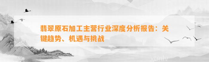 翡翠原石加工主营行业深度分析报告：关键趋势、机遇与挑战