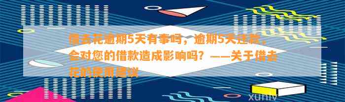 借去花逾期5天有事吗，逾期5天还款，会对您的借款造成影响吗？——关于借去花的使用建议