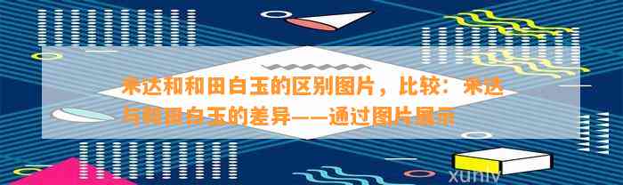 米达和和田白玉的区别图片，比较：米达与和田白玉的差异——通过图片展示