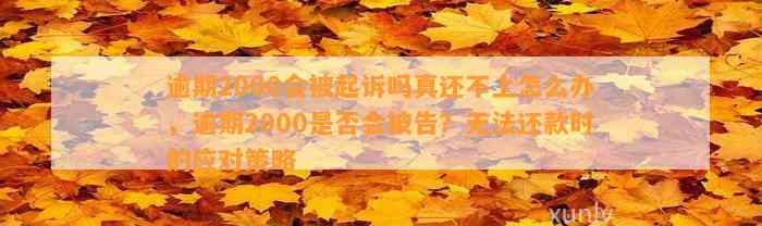 逾期2000会被起诉吗真还不上怎么办，逾期2000是否会被告？无法还款时的应对策略