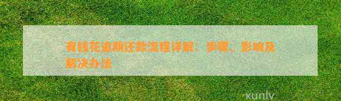 有钱花逾期还款流程详解：步骤、影响及解决办法