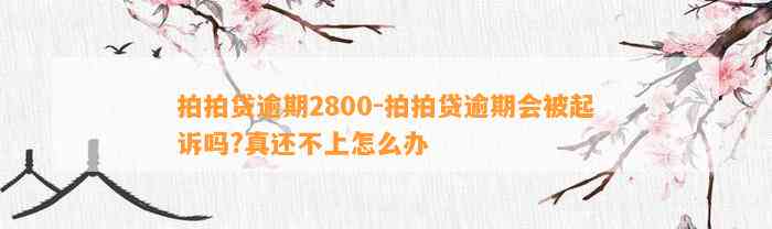 拍拍贷逾期2800-拍拍贷逾期会被起诉吗?真还不上怎么办