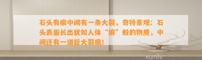 石头有癣中间有一条大裂，奇特景观：石头表面长出犹如人体“癣”般的物质，中间还有一道巨大裂痕！