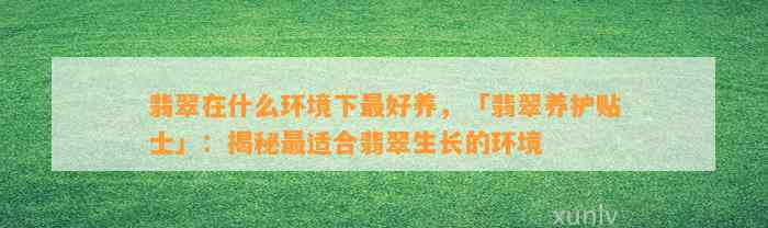 翡翠在什么环境下最好养，「翡翠养护贴士」：揭秘最适合翡翠生长的环境