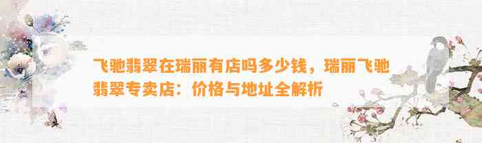 飞驰翡翠在瑞丽有店吗多少钱，瑞丽飞驰翡翠专卖店：价格与地址全解析