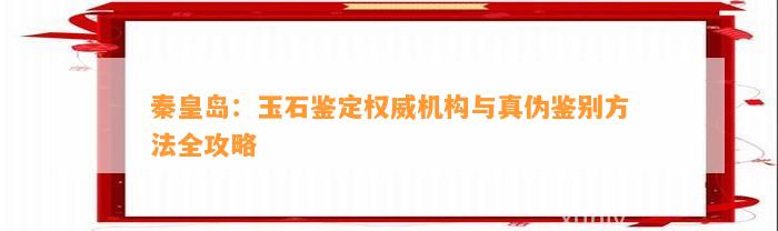 秦皇岛：玉石鉴定权威机构与真伪鉴别方法全攻略