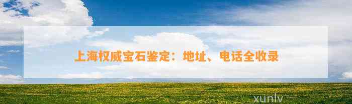 上海权威宝石鉴定：地址、电话全收录