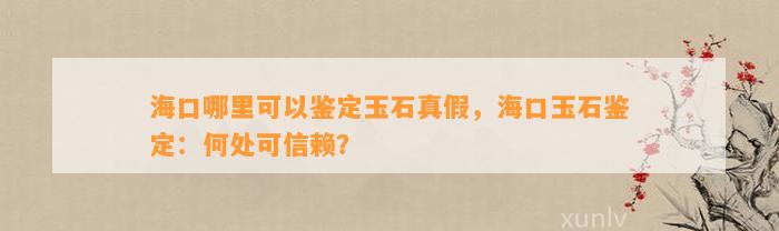 海口哪里可以鉴定玉石真假，海口玉石鉴定：何处可信赖？