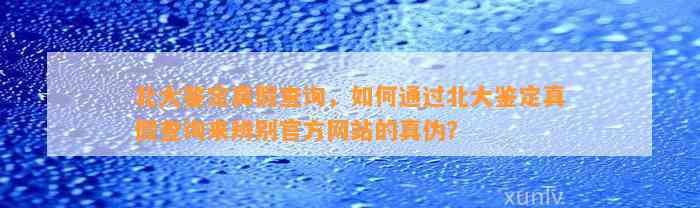 北大鉴定真假查询，怎样通过北大鉴定真假查询来辨别官方网站的真伪？