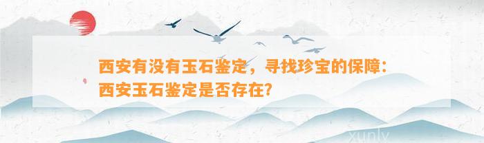 西安有不存在玉石鉴定，寻找珍宝的保障：西安玉石鉴定是不是存在？