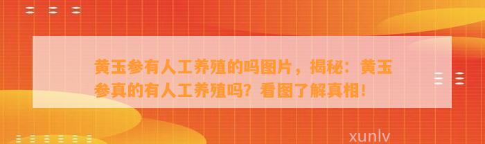 黄玉参有人工养殖的吗图片，揭秘：黄玉参真的有人工养殖吗？看图熟悉真相！