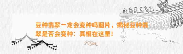 豆种翡翠一定会变种吗图片，揭秘豆种翡翠是不是会变种：真相在这里！